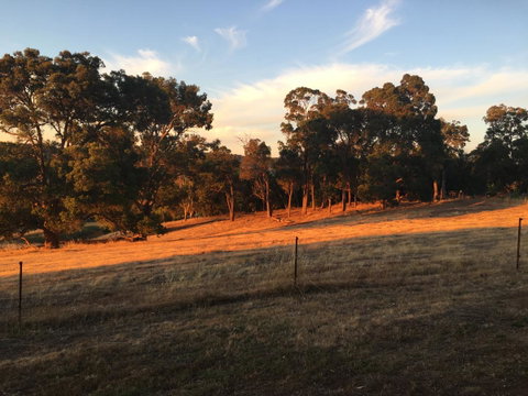 Tegwan's Nest Holiday Home - Hotel NSW 18