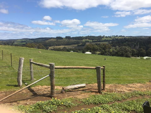Tegwan's Nest Holiday Home - Hotel NSW 39