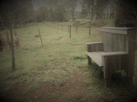 Tegwan's Nest Holiday Home - Hotel NSW 43