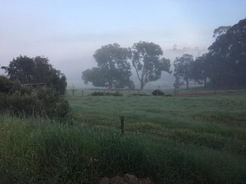 Tegwan's Nest Holiday Home - Hotel NSW 29