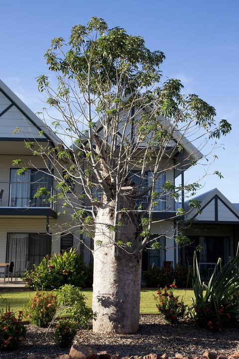 Freshwater East Kimberley Apartments - Hotel NSW 18