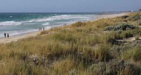 Scarborough & Absolutely Beachfront - Hotel NSW 2