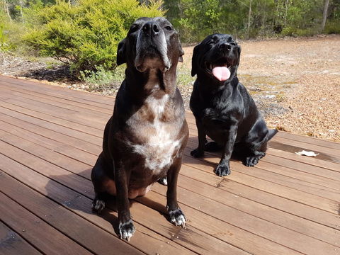 Jarrah Grove Forest Retreat - Hotel NSW 22