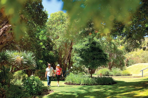 Caves House Hotel & Apartments Yallingup - Hotel NSW 35