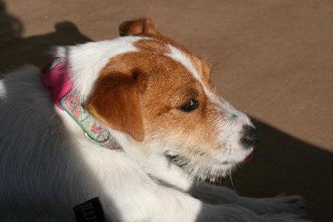 Bremer Bay B&B - Hotel NSW 25