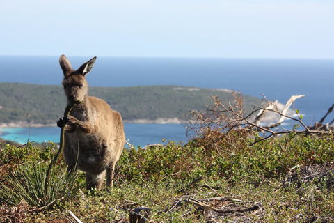Bremer Bay B&B - Hotel NSW 30