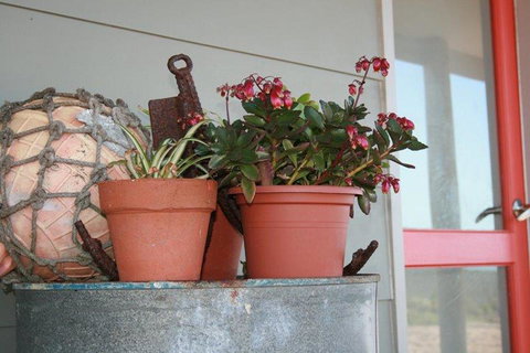 Bremer Bay B&B - Hotel NSW 28