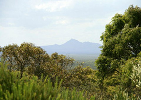 Bremer Bay B&B - Hotel NSW 32