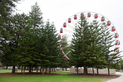 The Local - Fremantle Apartment - Hotel NSW 16