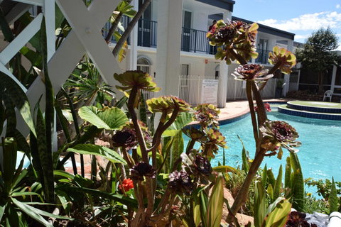 West Beach Lagoon 109 â€“ Amazing Location! - Hotel NSW 12