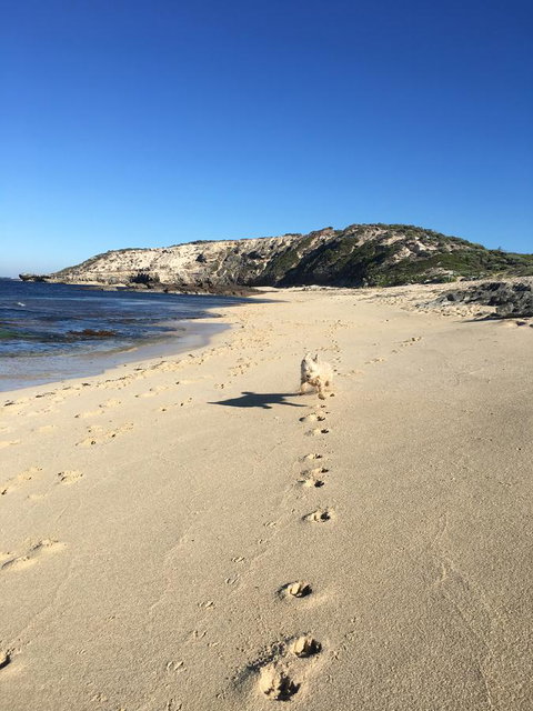 Aquatic Visions - Hotel NSW 36