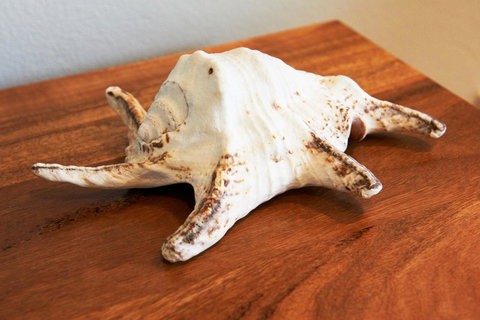 Aquatic Visions - Hotel NSW 40