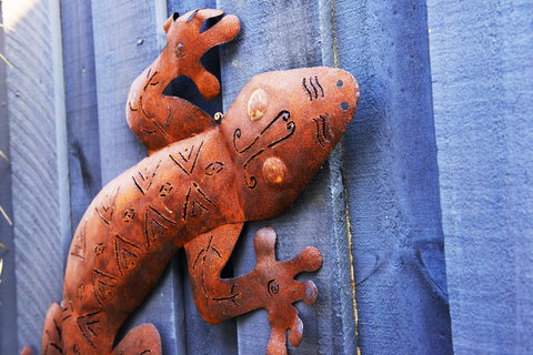 Aquatic Visions - Hotel NSW 38