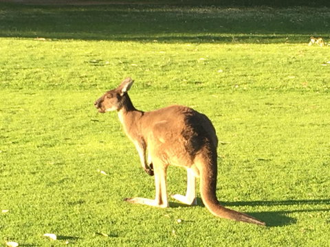 Aquatic Visions - Hotel NSW 41