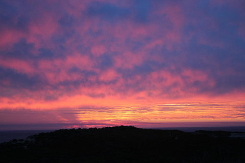 Aquatic Visions - Hotel NSW 43