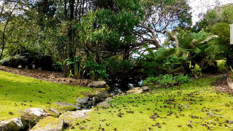 43 Degrees Bruny Island - Hotel NSW 8