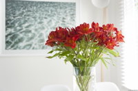 Book Kingston Beach Accommodation Vacations Hotel NSW Hotel NSW