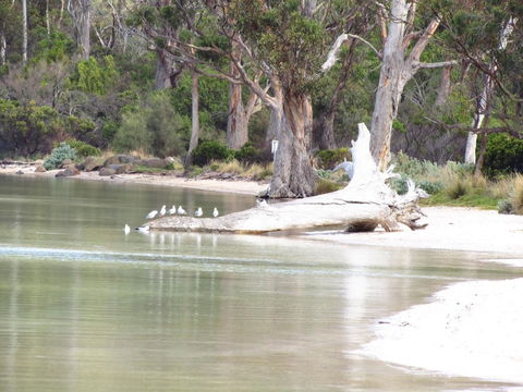 The Boat Shed - Hotel NSW 12