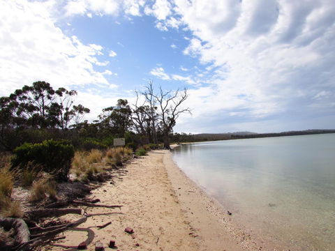 The Boat Shed - Hotel NSW 2