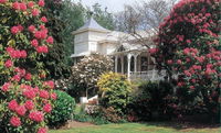 Book Scottsdale Accommodation Vacations Hotel NSW Hotel NSW