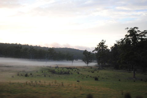 A Slice Of Paradise - Hotel NSW 14
