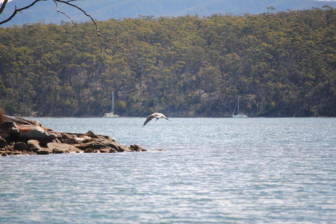 A Slice Of Paradise - Hotel NSW 18