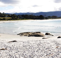 Mermaids of Bicheno - Hotel NSW