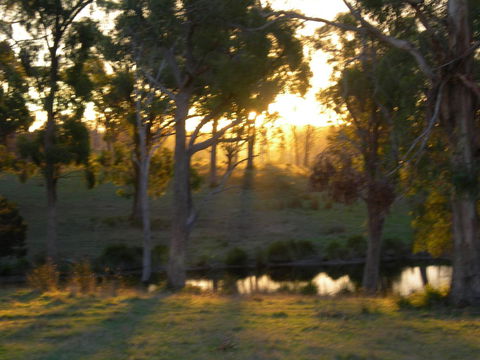 Platypus Park Country Retreat - Hotel NSW 30