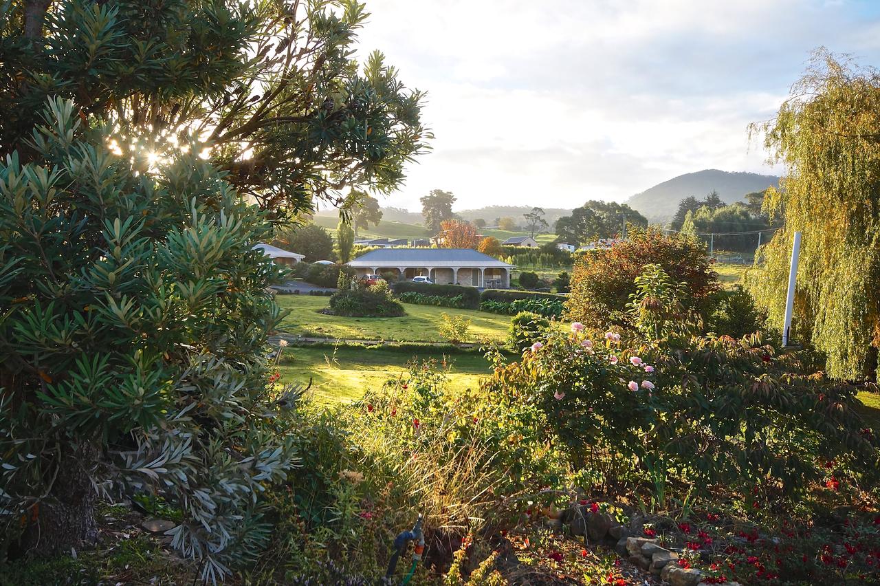 Fortescue TAS Hotel NSW