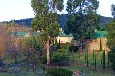 Cleburne Homestead - Hotel NSW 8