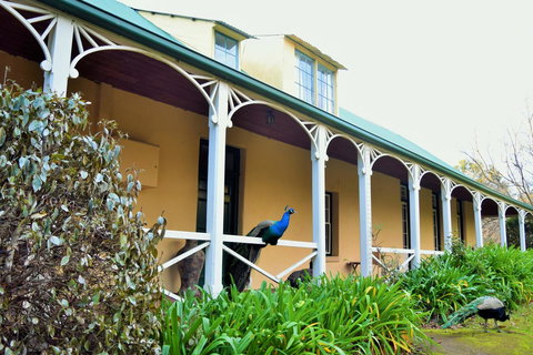 Cleburne Homestead - Hotel NSW 29