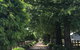 Oak Lane Guest House & Farm Stay - thumb 0