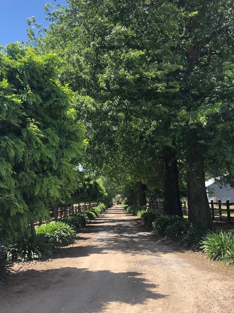 Oak Lane Guest House & Farm Stay - Hotel NSW 0