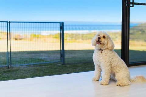 Ocean Paradise - Hotel NSW 2