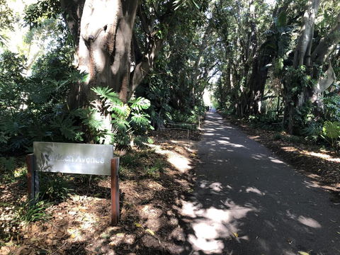 One Bedroom Cottage Close To Adelaide CBD - Hotel NSW 3