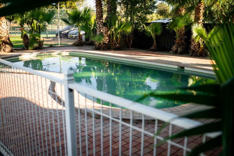 Palm And Pawn Motor Inn - Hotel NSW 1
