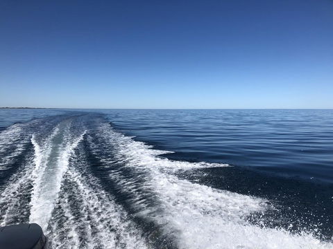 Peppermint Grove Beach Holiday Park - Hotel NSW 2