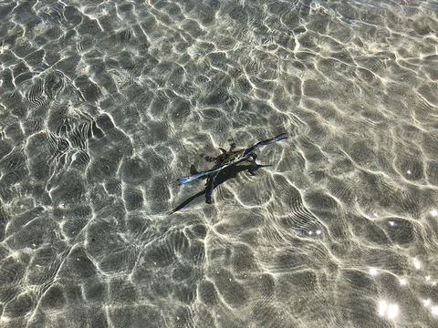 Peppermint Grove Beach Holiday Park - Hotel NSW 1