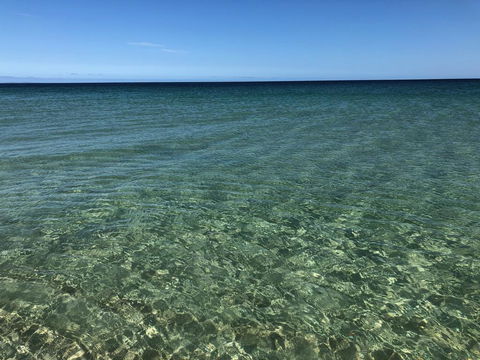 Peppermint Grove Beach Holiday Park - Hotel NSW 3