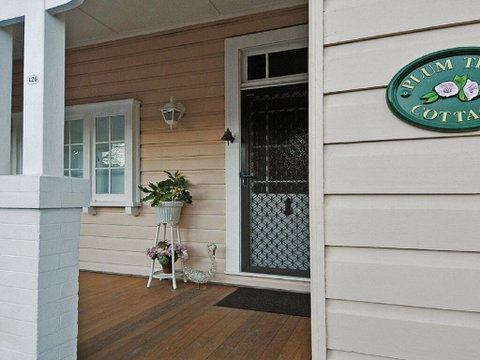 Plum Tree Cottage - Warm, Cosy & Walk To Town - Hotel NSW 1
