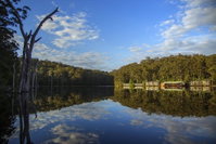 Book Beedelup Accommodation Vacations Hotel NSW Hotel NSW