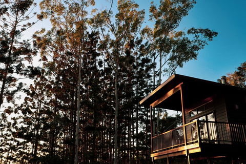 Rainforest Gardens - Luxury Hillside Chalets With Views To Bay & Islands - Hotel NSW 2