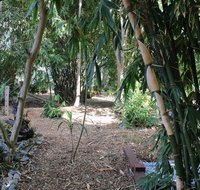 Rainforest Water Front River Shack Secluded. - Hotel NSW