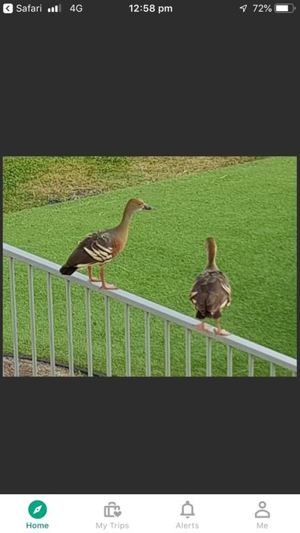 Resort Living - Hotel NSW 3