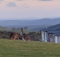Rooks Edge - Hotel NSW