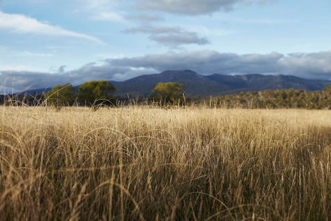 Second Flat Retreat - Hotel NSW 2