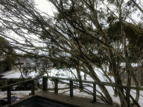 Secret Hut - Hotel NSW 1
