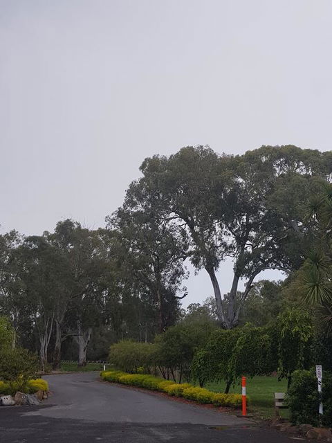 Seymour Motel - Hotel NSW 3