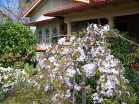 Book Katoomba Accommodation Vacations Hotel NSW Hotel NSW