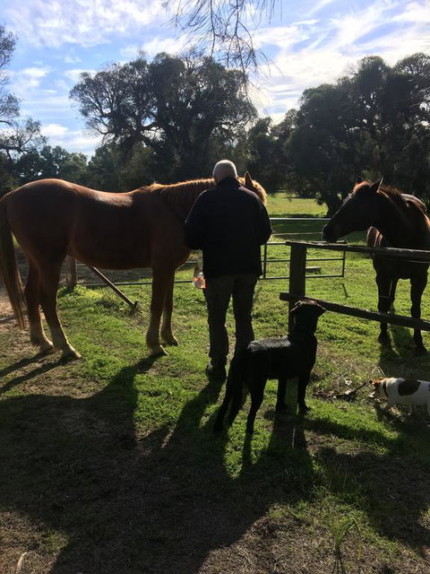 Shetland Park Chalets - Hotel NSW 2